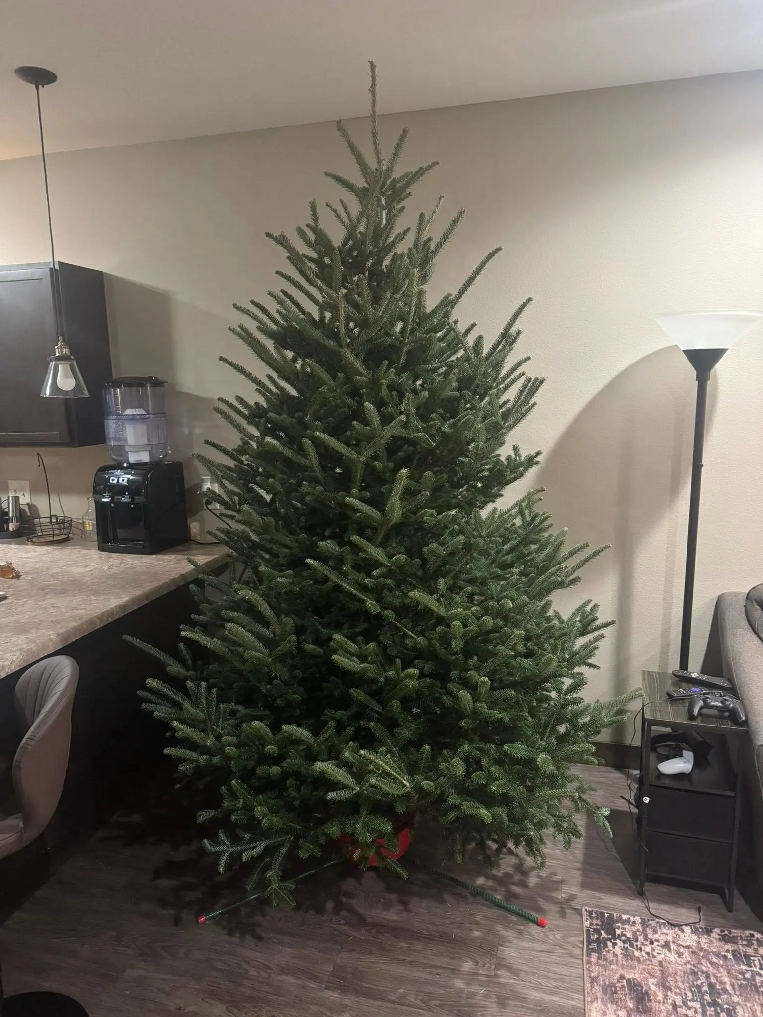 Fresh Christmas tree set up in a living room next to the kitchen