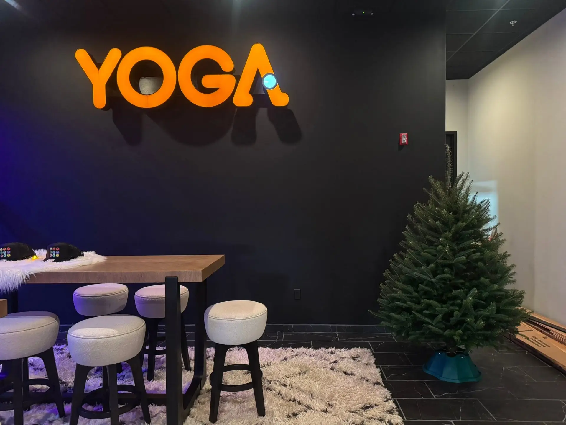 Fresh Christmas tree in the corner of a studio