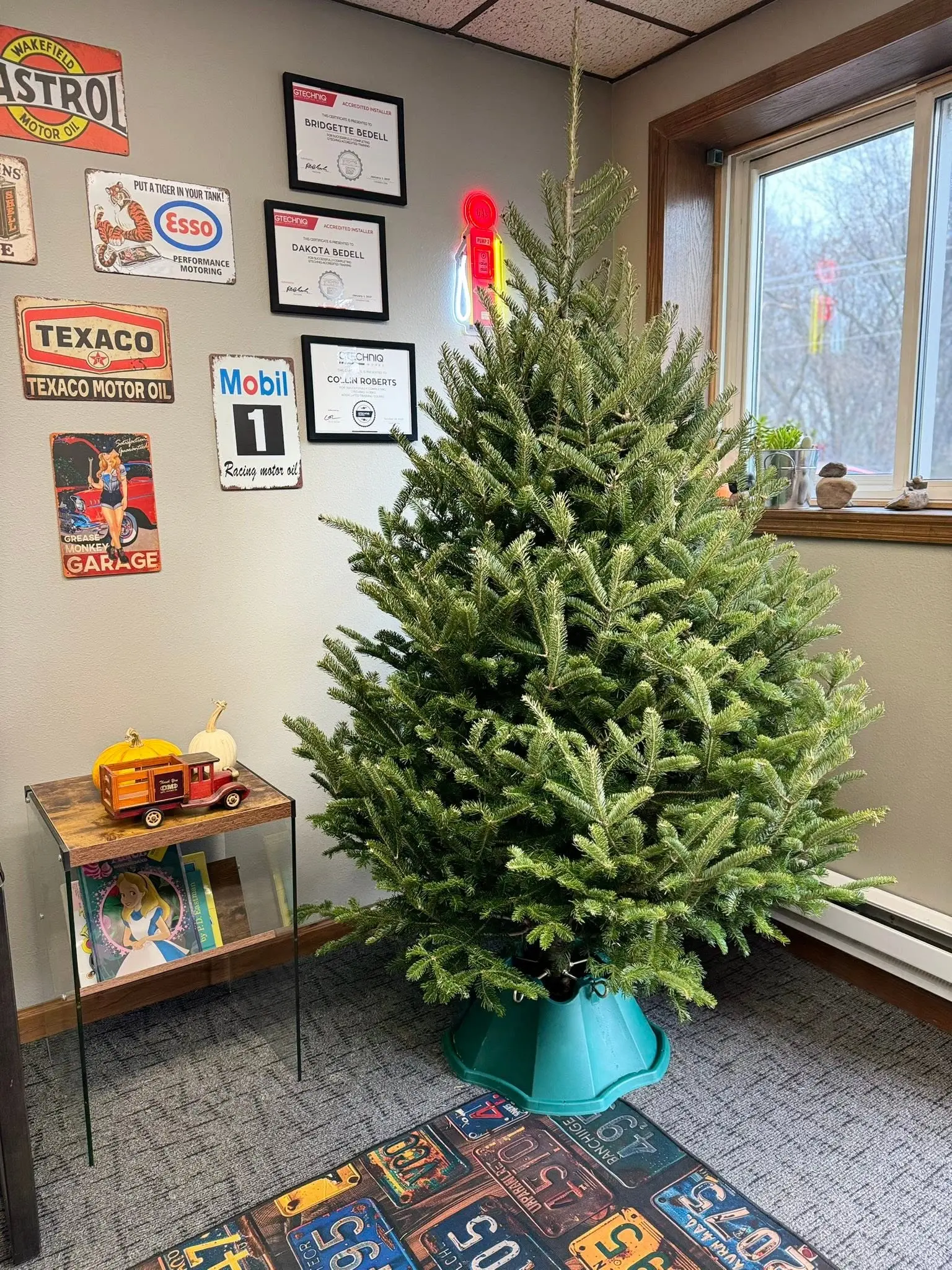 Fresh Christmas tree set beside an office window
